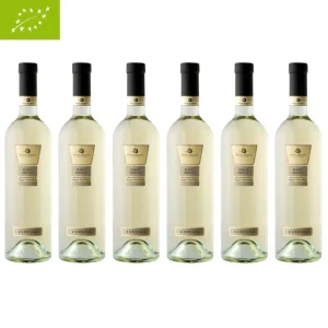 Pinot Grigio DOC Venezia Bio Vegan