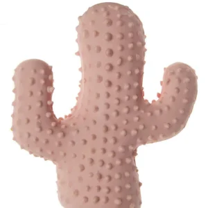 Imac - Cactus in Lattice