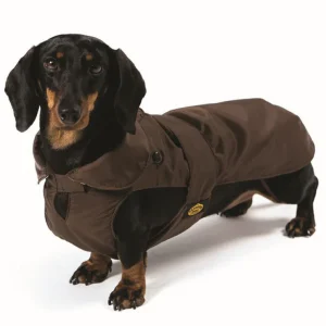 Fashion Dog - Cappotto Impermeabile - con Imbottitura Staccabile - Per Bassotti