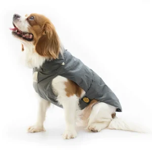 Fashion Dog - Cappotto Impermeabile - con Imbottitura Staccabile - Grigio - ULTIME TAGLIE