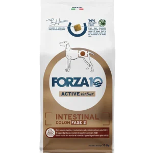Forza 10 - Active Vet Diet Dog - Intestinal Colon Fase 2 - 10kg