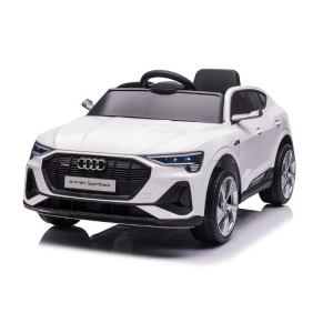Auto Lamas Audi E-Tron